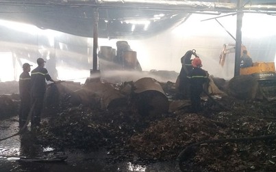 Hiện trường vụ cháy nhà máy giấy ở Tiền Giang