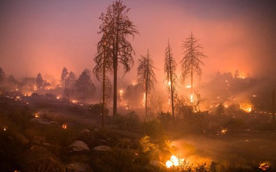 Cháy rừng tiếp diễn tại bang California, buộc hơn 180.000 người phải sơ tán