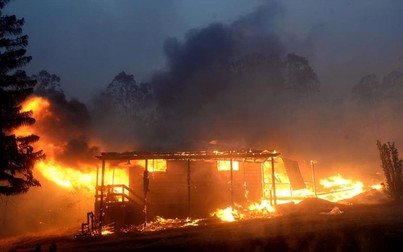 99 đám cháy rừng ​hoành hành khắp miền Đông Australia