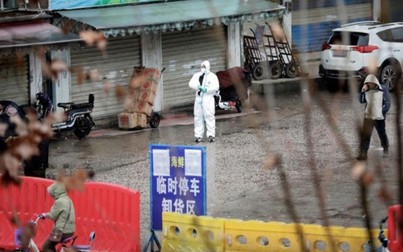 Phát hiện lượng lớn virus corona ở chợ hải sản Vũ Hán