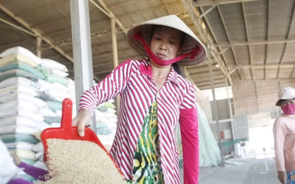 Việt Nam giảm xuất khẩu gạo còn khoảng 4 triệu tấn vào năm 2030
