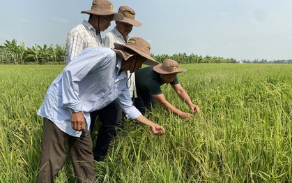 Nông sản Việt với sức bật của tư duy đa giá trị, đa ngành