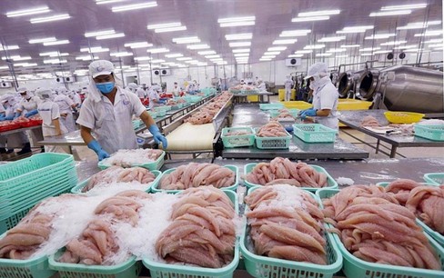 Xuất khẩu thuỷ sản của Việt Nam vào Nga, Mỹ giảm