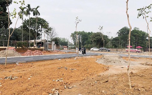 Khó 'cấm tiệt' phân lô, bán nền