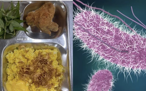 Các loại vi khuẩn gây ngộ độc ở trường iSchool Nha Trang nguy hiểm thế nào?