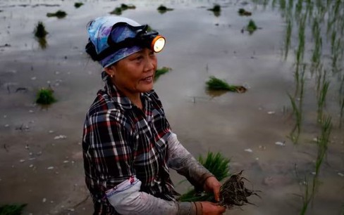 Lượng khí thải metan lên mức báo động làm tăng gánh nặng cho châu Á tại COP27