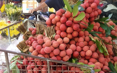Vải thiều Việt Nam bán tại Mỹ, giá hơn 10 USD/kg