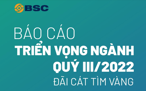 Báo cáo triển vọng ngành quý 3/2022: Đãi cát tìm vàng