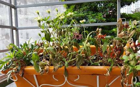 5 đồ vật không nên giữ trong nhà, tránh hao tài phá của