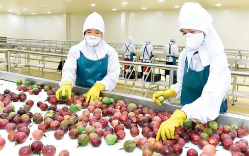 Xuất khẩu rau quả chế biến của Việt Nam vượt mốc 1 tỷ USD