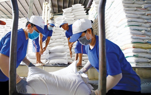 Trung Quốc có thể đẩy mạnh nhập khẩu gạo