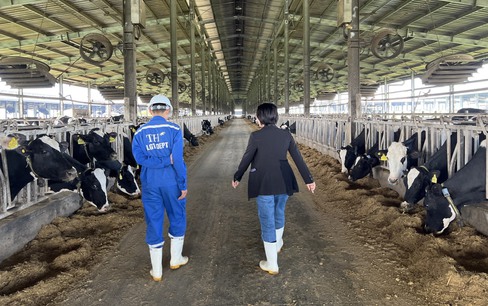 Phú Yên: Xử phạt trang trại bò sữa công nghệ cao 560 triệu đồng
