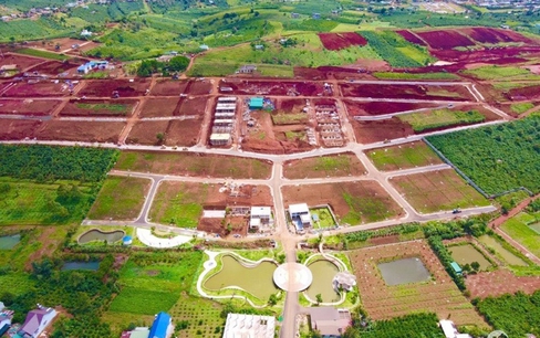 Lâm Đồng bỏ cấm phân lô, tách thửa đất nông nghiệp
