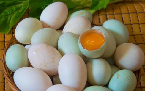 Mua trứng vịt nên chọn quả vỏ trắng hay vỏ xanh là bổ nhất?