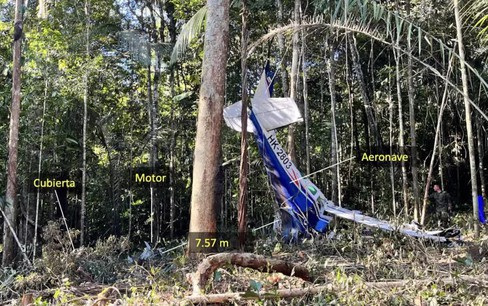 Làm thế nào 4 đứa trẻ có thể sống sót sau một vụ tai nạn máy bay ở Amazon?