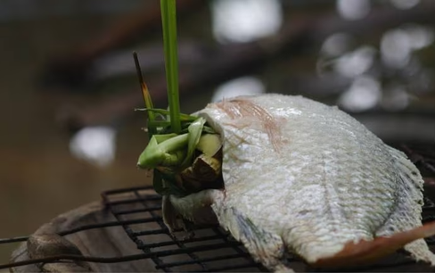 Người phụ nữ bị cắt cụt tứ chi sau khi ăn cá nhiễm vi khuẩn
