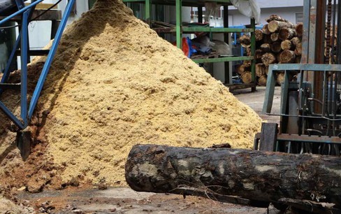 Malaysia và Nhật Bản thử nghiệm tái chế cây cọ chết thành nhiên liệu sinh học