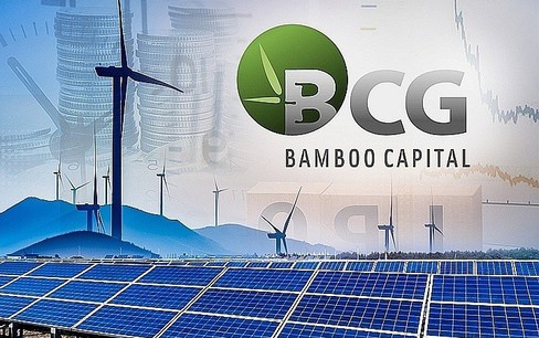 Hàng trăm triệu cổ phiếu 'họ' Bamboo Capital chất giá sàn, công ty chứng khoán cắt margin