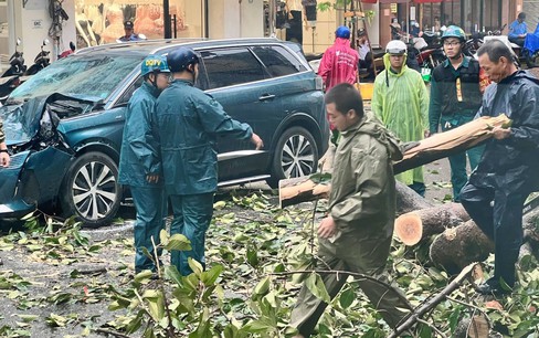 Cây xanh ở TP.HCM đổ hàng loạt do mưa lớn kèm gió giật mạnh