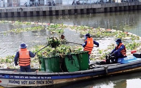 TPHCM: Xử phạt xả rác qua hình ảnh người dân cung cấp