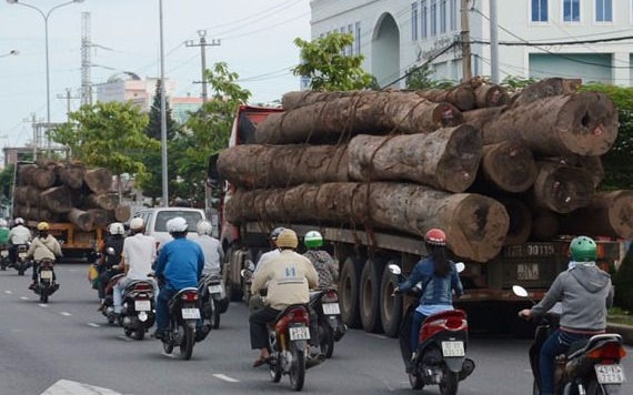 100 xe quá tải bị phạt mỗi ngày trong tháng 1