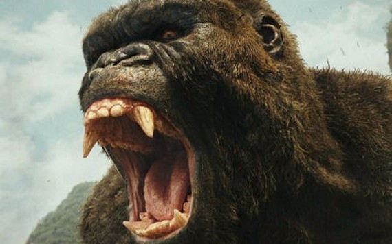 Kong: Skull Island kiếm được gần 143 triệu đôla sau 2 ngày ra rạp