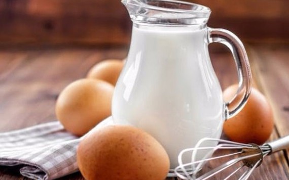 Người bệnh gút có nên ăn trứng và sữa?