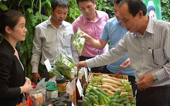 ‘Cơn sốt’ nông nghiệp organic