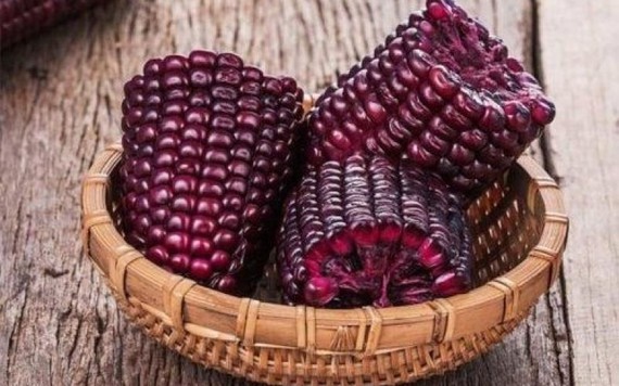 Bất ngờ công dụng ngừa ung thư của ngô nếp tím