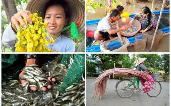 Đi chợ đặc sản 'rặt đồng' mùa nước nổi ở Đồng bằng sông Cửu Long
