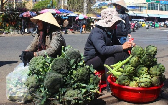 Rau Đà Lạt khan hàng, tăng giá cao