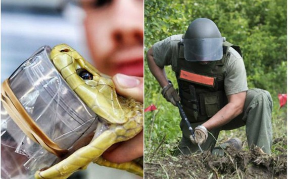 Những công việc nguy hiểm chiếm tỷ lệ tử vong cao nhất thế giới