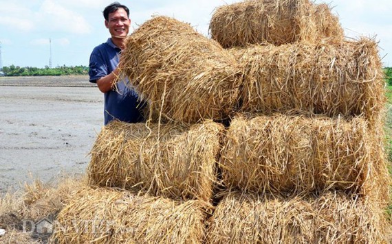 Kỹ sư bỏ phố về quê đi cuộn rơm thuê cũng có tiền...nuôi vợ