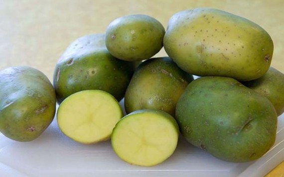 Vén màn bí mật màu sắc tím, đỏ, xanh, đen... của các loại khoai tây