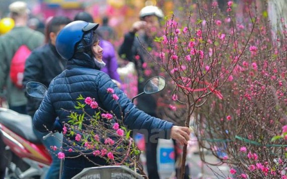 Tết Nguyên đán 2018: Đề xuất 2 phương án nghỉ trong 7 ngày