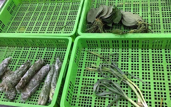 Chuyện hiếm Hà Nội: Chia nhau bó rau dập nát, 'nhắm mắt' ăn liều đồ Tàu