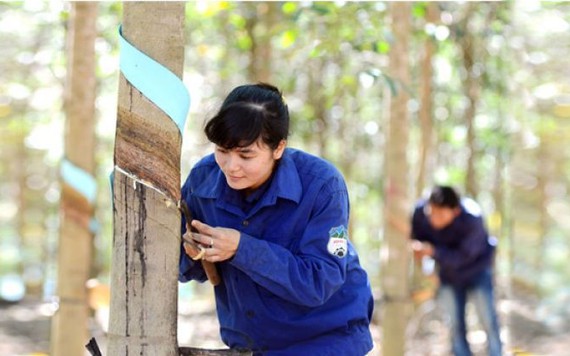 Hàng loạt doanh nghiệp bị phạt gần nửa tỉ đồng vì chậm công bố thông tin