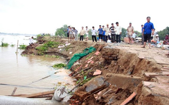 Bốn căn nhà trên cồn trôi xuống sông Cổ Chiên