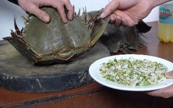 Ăn so biển, bốn người bị ngộ độc phải nhập viện trong tình trạng tê liệt