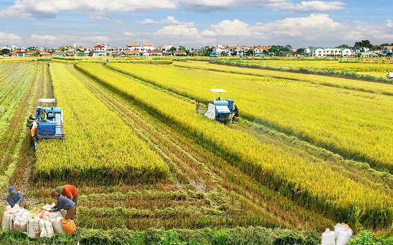 Sau APEC 2017, ngành nông nghiệp Việt Nam sẽ phát triển như thế nào?