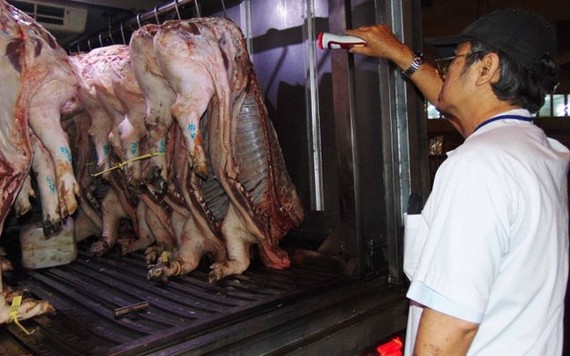 Thịt heo dính thuốc an thần tràn lan mà không xử được