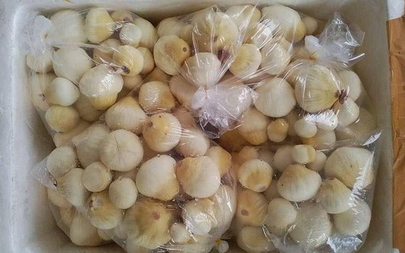 Mộng dừa miền Tây gần 300.000 đồng/kg vẫn hút khách