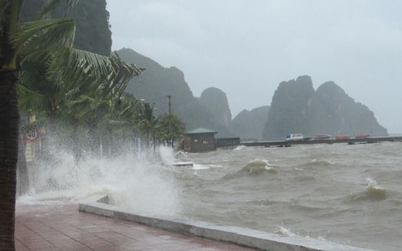 Thông báo khẩn về ứng phó với gió mạnh, sóng lớn trên biển