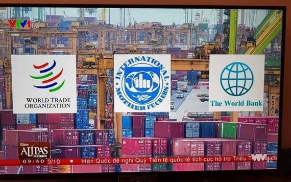 VTV đưa nhầm logo của IMF thành International Mother Fuckers