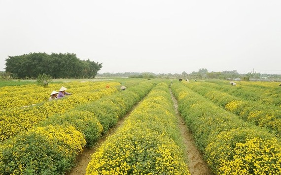 Đây là hai điểm hẹn lý tưởng để "tự sướng" cho những ngày nghỉ tết Dương lịch