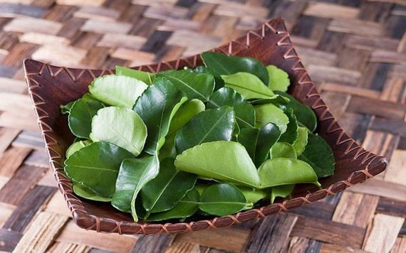 Lá chanh Việt Nam sang châu Âu bán 6,3 triệu đồng/kg