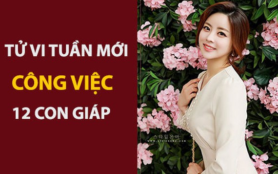 Tử vi tuần mới (27/5-2/6/2019) về công việc của 12 con giáp: Sửu muốn bỏ việc, Mão cực nhọc