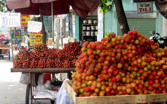 Chôm chôm mất giá