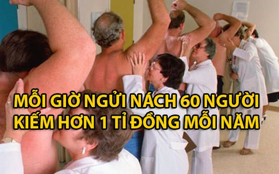 Ngửi nách, thử đồ chơi tình dục... là các công việc được trả lương cao