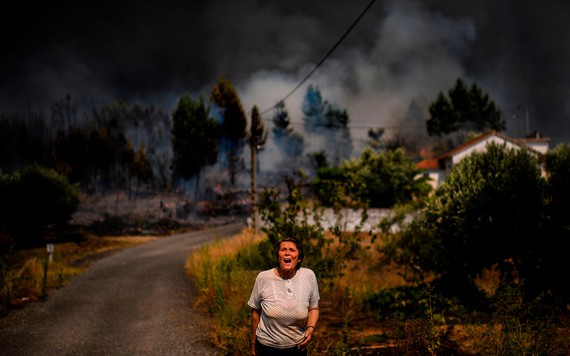 Một tuần trong thế giới ảnh: Tiếng thét từ đám cháy rừng ở Bồ Đào Nha